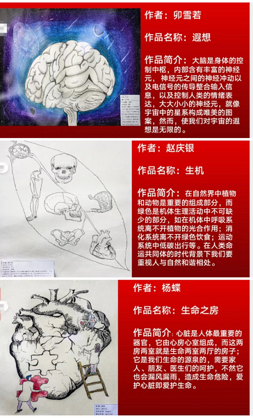 弘揚(yáng)解剖文化 推動(dòng)醫(yī)學(xué)科普 ——我院召開(kāi)第一屆人體解剖繪圖大賽表彰大會(huì)暨 2022年職業(yè)教育活動(dòng)周總結(jié)會(huì)(圖5) 弘揚(yáng)解剖文化 推動(dòng)醫(yī)學(xué)科普 ——我院召開(kāi)第一屆人體解剖繪圖大賽表彰大會(huì)暨 2022年職業(yè)教育活動(dòng)周總結(jié)會(huì)(圖5)