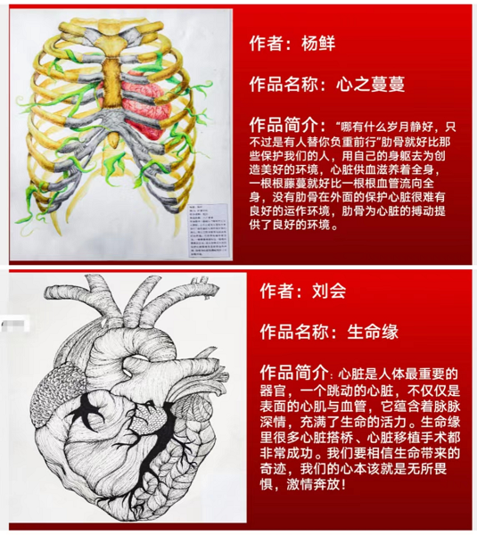 弘揚(yáng)解剖文化 推動(dòng)醫(yī)學(xué)科普 ——我院召開(kāi)第一屆人體解剖繪圖大賽表彰大會(huì)暨 2022年職業(yè)教育活動(dòng)周總結(jié)會(huì)(圖6) 弘揚(yáng)解剖文化 推動(dòng)醫(yī)學(xué)科普 ——我院召開(kāi)第一屆人體解剖繪圖大賽表彰大會(huì)暨 2022年職業(yè)教育活動(dòng)周總結(jié)會(huì)(圖6)